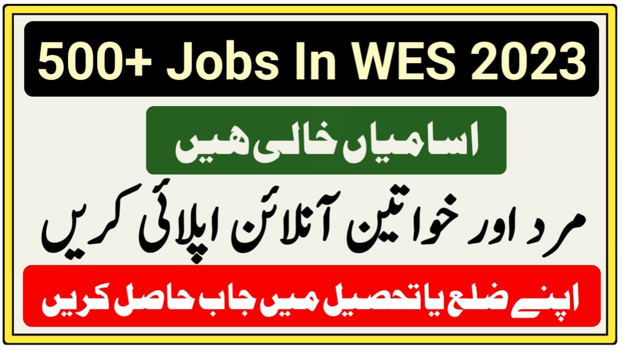 World Educational Services Islamabad Jobs 2023