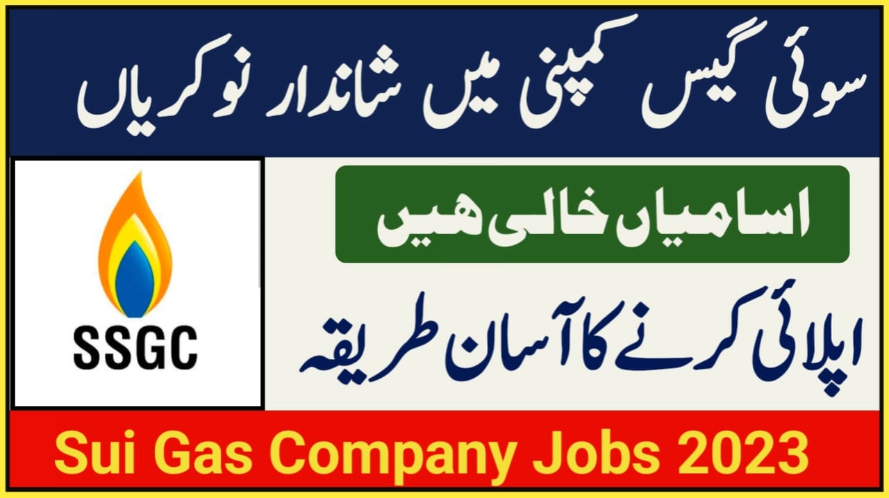 Sindh Healthcare Depart Jobs 2023