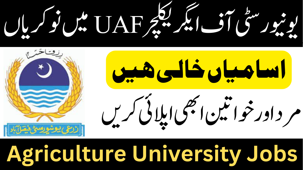 University Of Agriculture UAF Faisalabad Jobs 2023