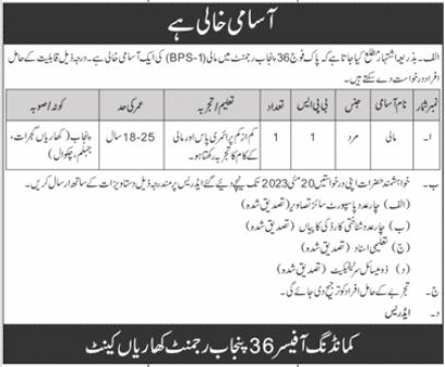 Pakistan Army (Punjab Regiment) Jobs 2023