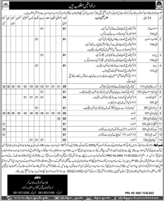 Directorate Of Archaeology & Museum Baluchistan Jobs 2023