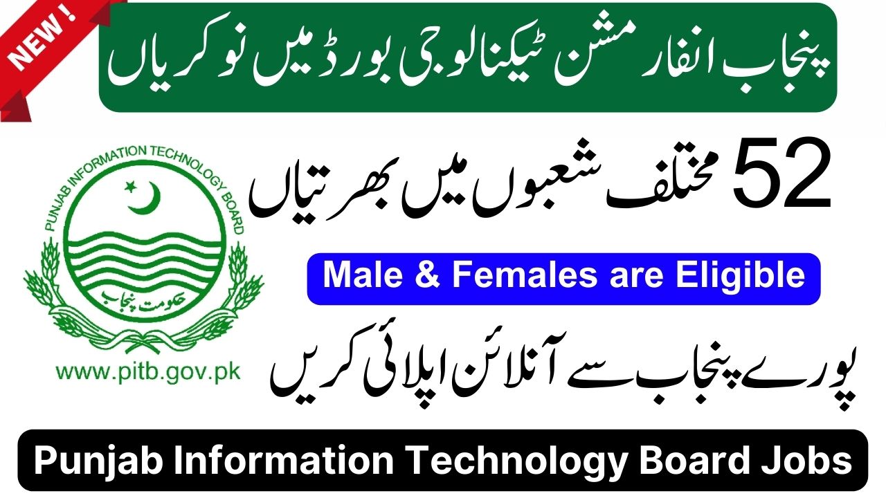 Punjab Information Technology Board PITB Lahore Jobs 2023