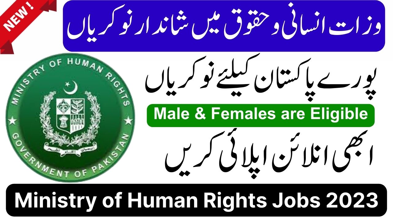 Ministry Of Human Rights Islamabad Jobs 2023