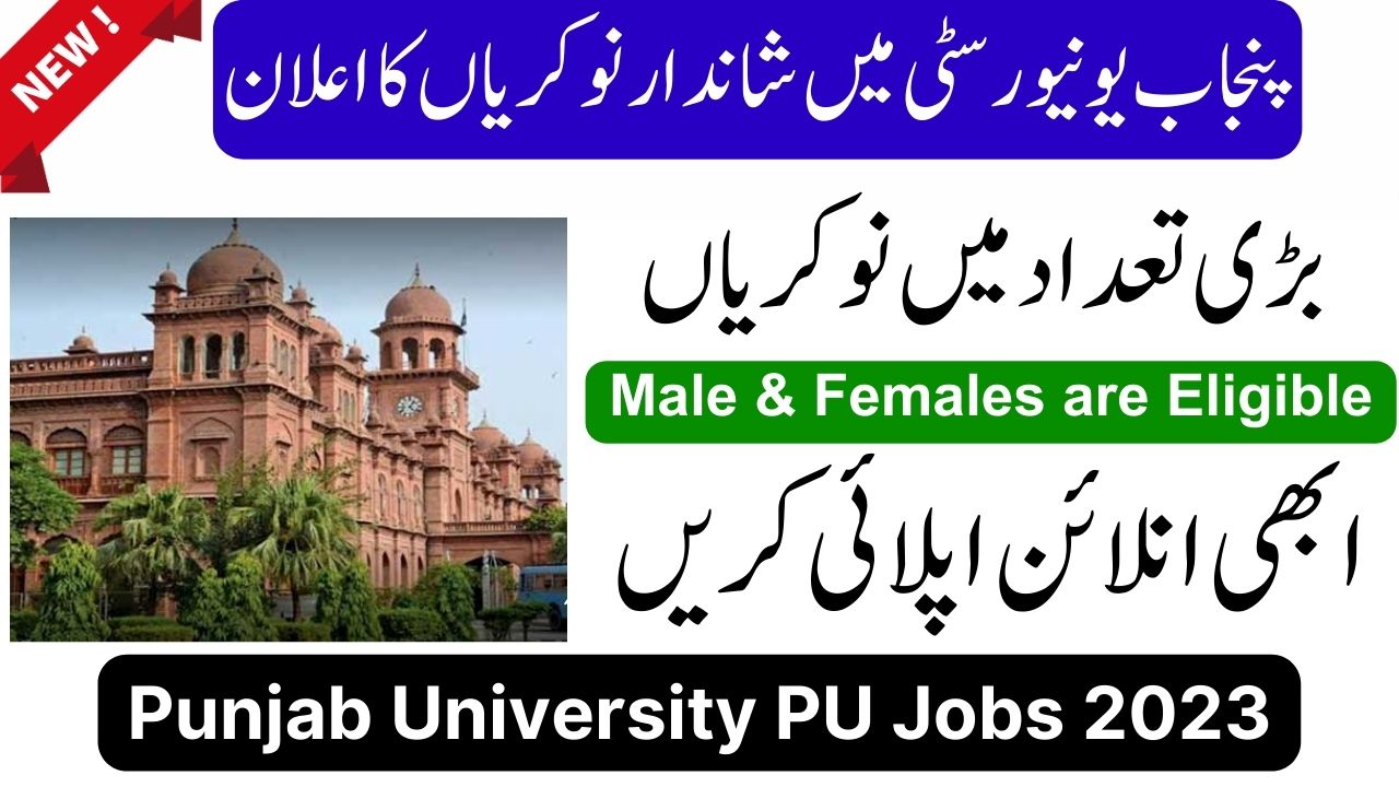 Punjab University PU Lahore Jobs 2023