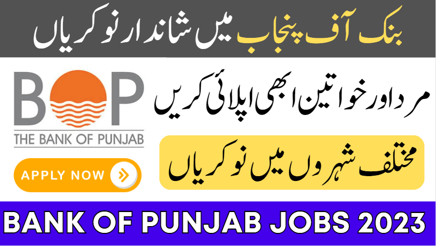 Bank of Punjab BOP Jobs 2023 Online Apply