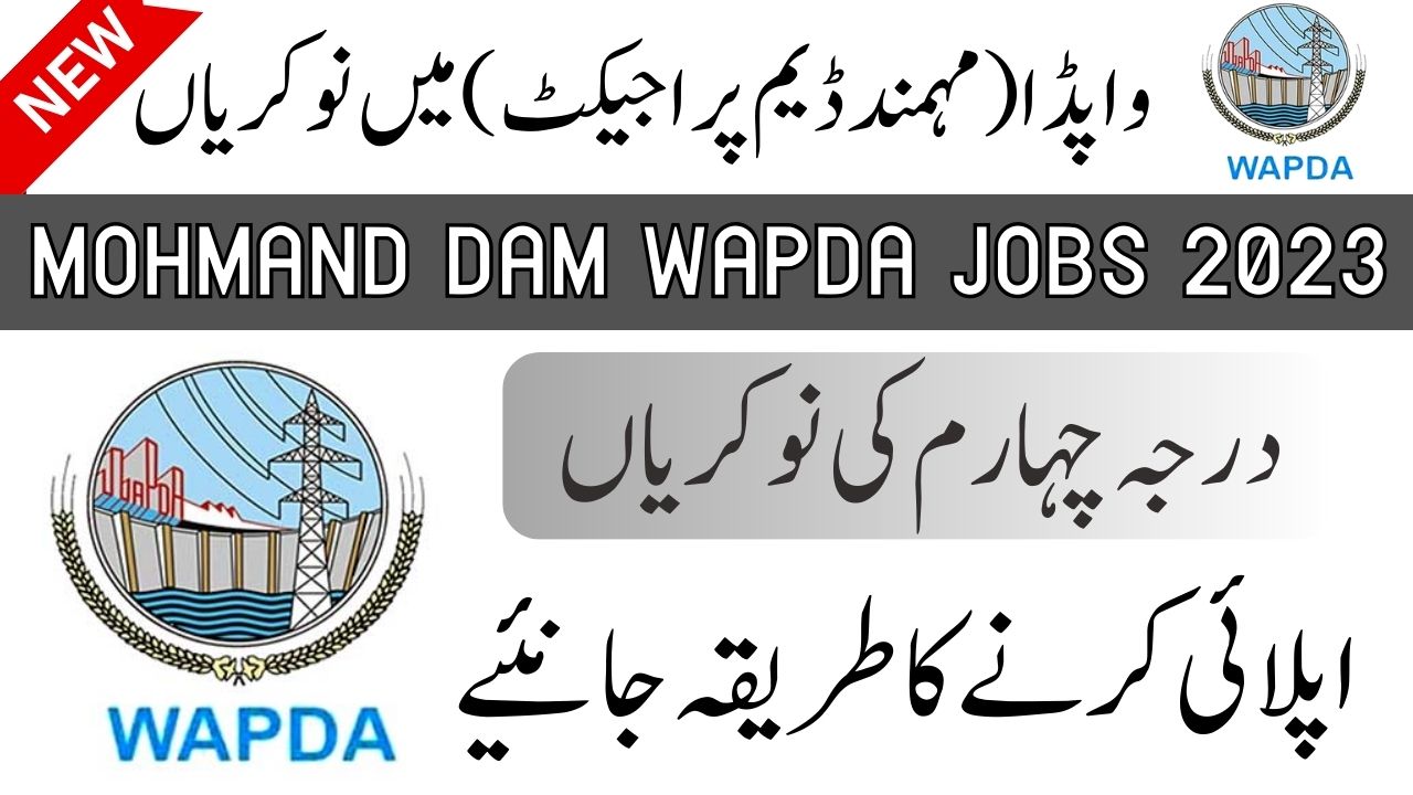 WAPDA Jobs 2023 Application Form